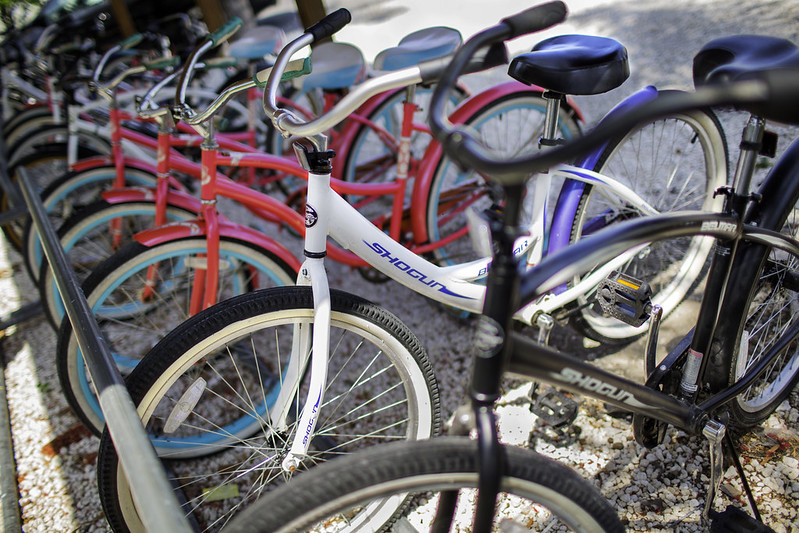 28100551946_62dc3e92fa_c